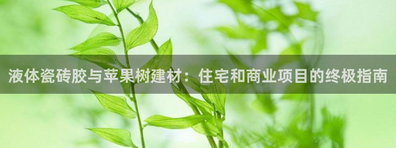 杏鑫平台代理怎么样
