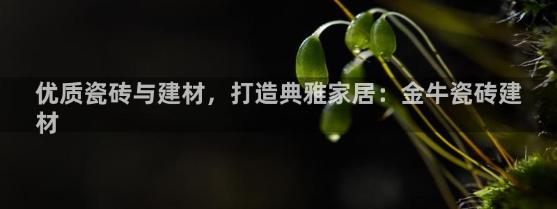 杏鑫招商总代