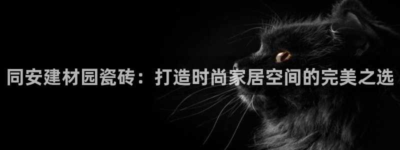 杏鑫娱乐是合法的吗?