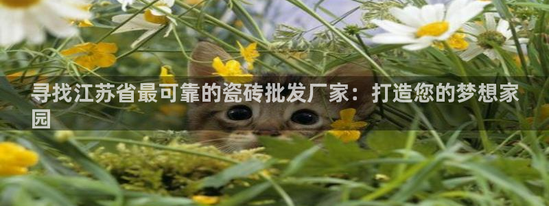 杏鑫平台怎么样黑钱吗知乎