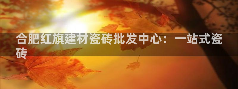 杏鑫平台代理怎么做