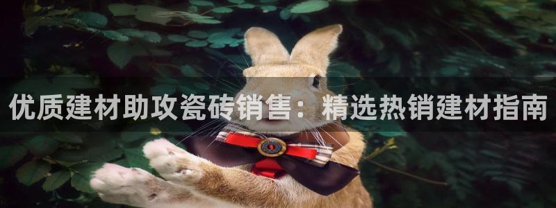 杏鑫平台正规吗是真的吗