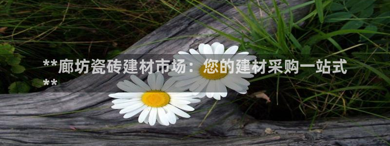 杏鑫平台登录地址是什么