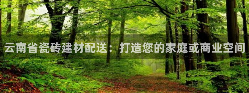 杏鑫官网注册账号是什么样的