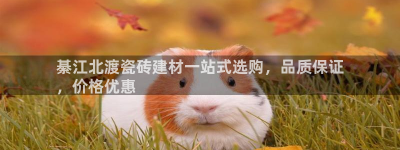 杏鑫平台注册网址