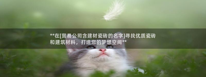杏鑫娱乐开发团队