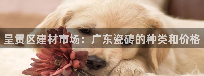 杏鑫平台直属哪个公司