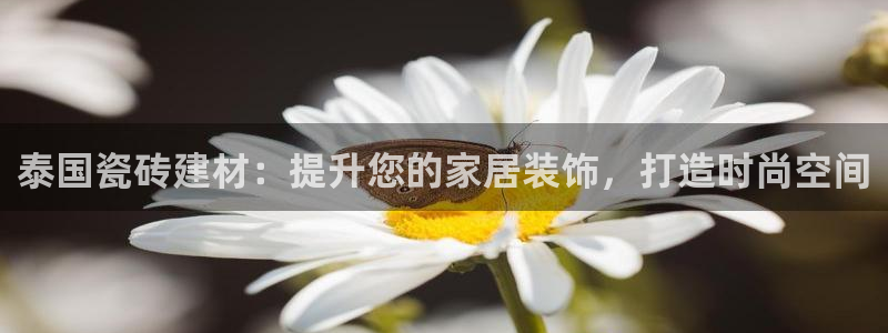 杏鑫官方平台怎么样啊可靠吗