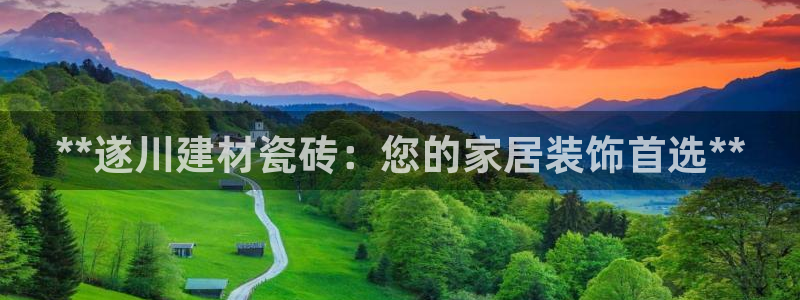 杏鑫平台线路测速