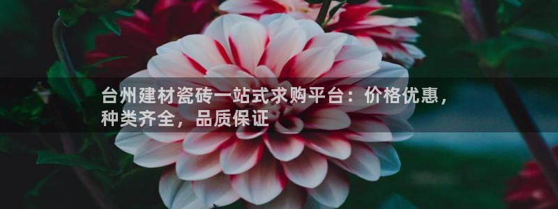 杏鑫平台注册网址是多少