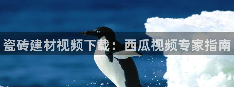 杏鑫官方平台怎么样啊
