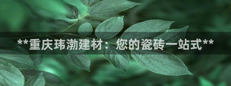 杏鑫娱乐怎么样