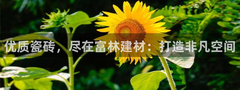 杏鑫平台是黑平台吗知乎