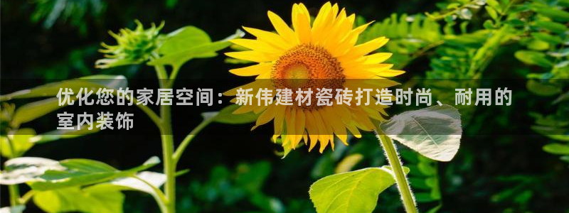 杏鑫平台正规吗可信吗