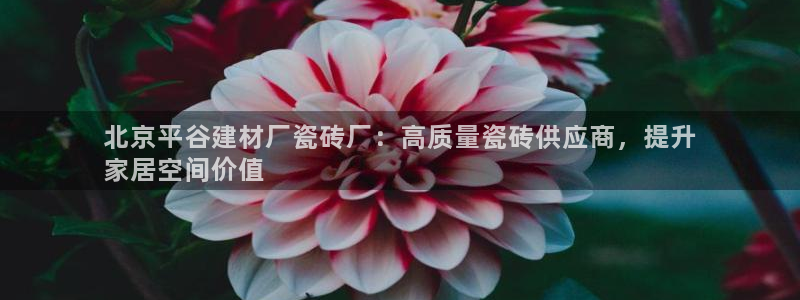 杏鑫平台代理注册多少钱啊