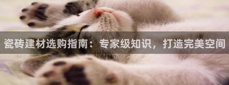 杏鑫平台登录