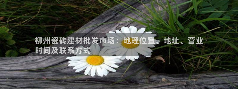杏鑫平台注册网址查询