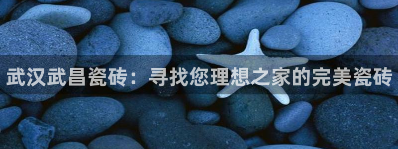 杏鑫平台测速