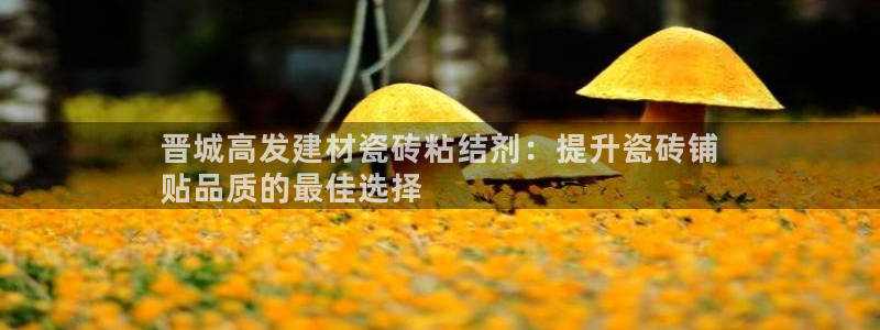 杏鑫平台代理注册流程视频