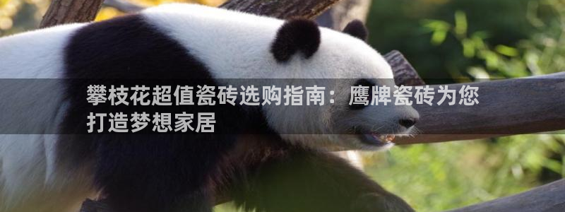杏鑫娱乐多少年了
