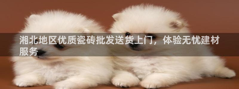 杏鑫代理注册
