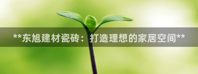 杏鑫平台直属