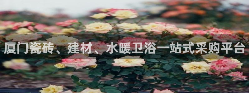 杏鑫平台是黑平台吗知乎