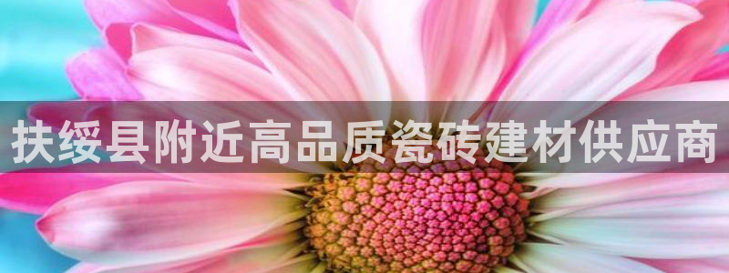 杏鑫官方平台怎么样啊安全吗