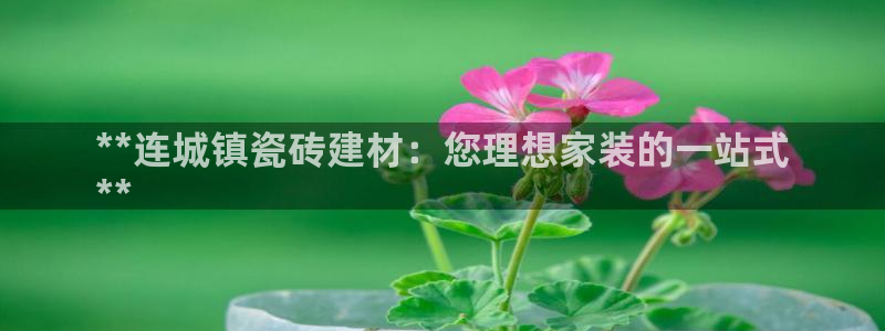 杏鑫平台代理注册流程