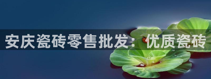 杏鑫官网注册账号