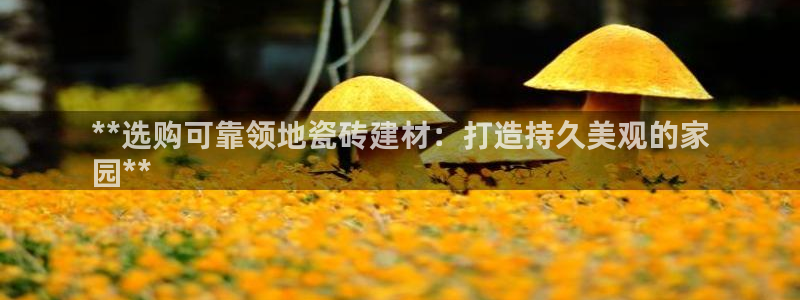 杏鑫平台注册入口