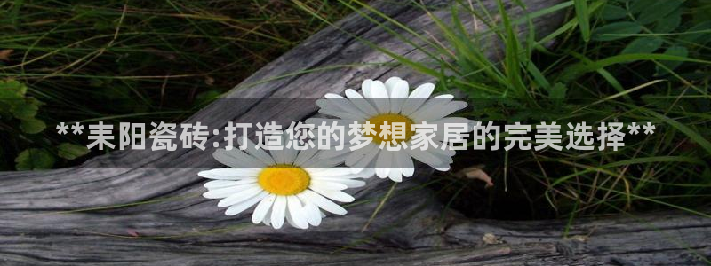 杏鑫娱乐开发团队