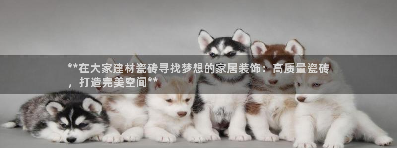 杏鑫平台登录