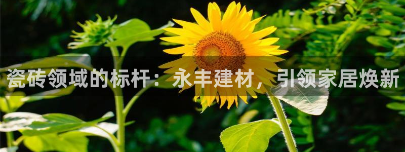杏鑫娱乐官方网站客户端下载安装