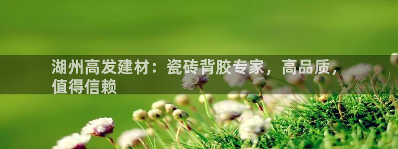杏鑫平台线路测速