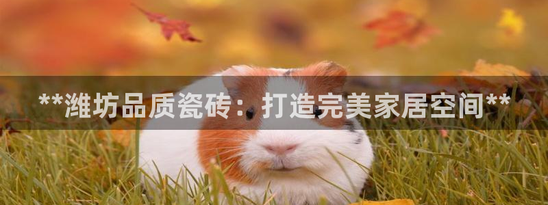 杏鑫娱乐是合法的吗?