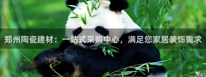 杏鑫注册登录代理公司