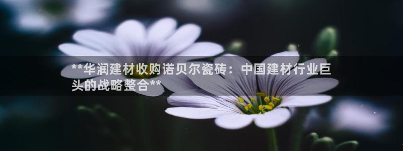 杏鑫平台招商电话是多少