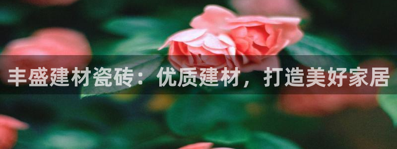 杏鑫平台招商怎么样啊