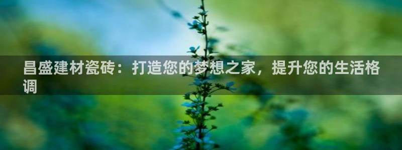 杏鑫官网注册账号是什么