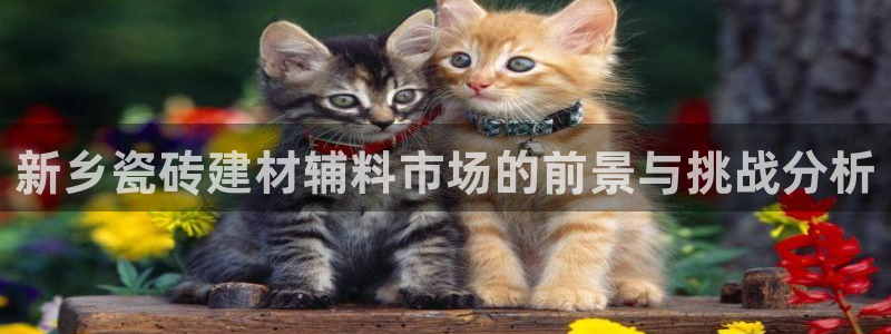 杏鑫平台列7O777