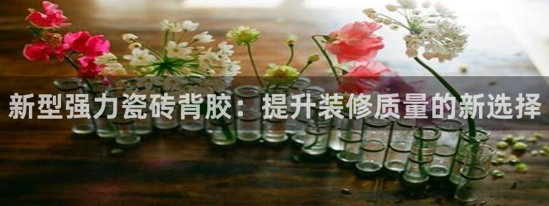 杏鑫平台代理怎么样赚钱