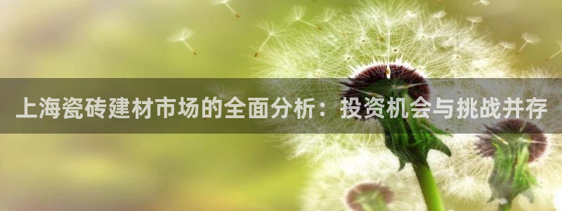 杏鑫3主管