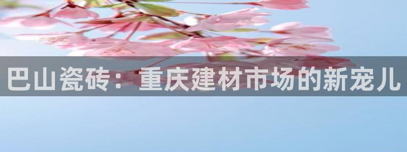 杏鑫平台代理怎么做的