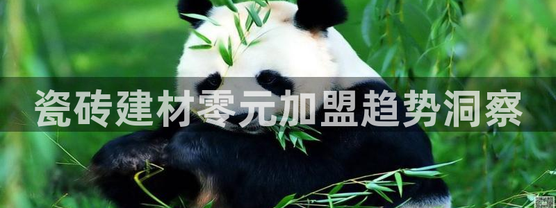 杏鑫平台注册网址