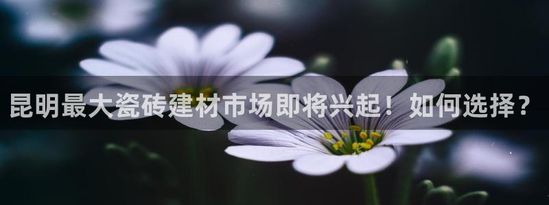 杏鑫平台怎么样黑钱吗是真的吗还是假的