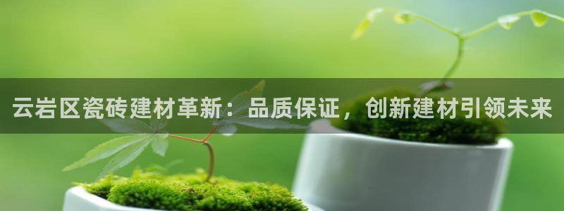 杏鑫代理注册登录