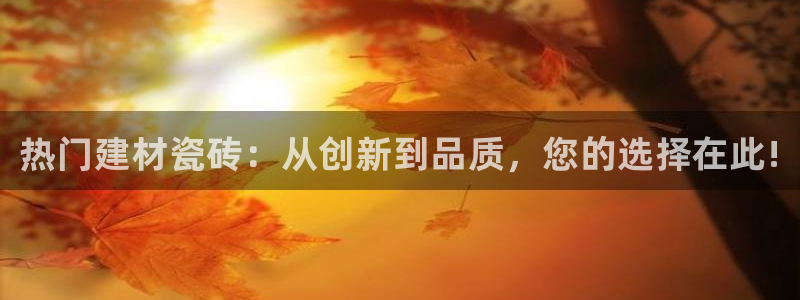 杏鑫官方app代理