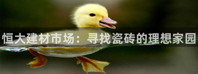 杏鑫官网注册账号是什么