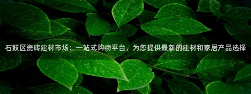 杏鑫平台靠谱吗